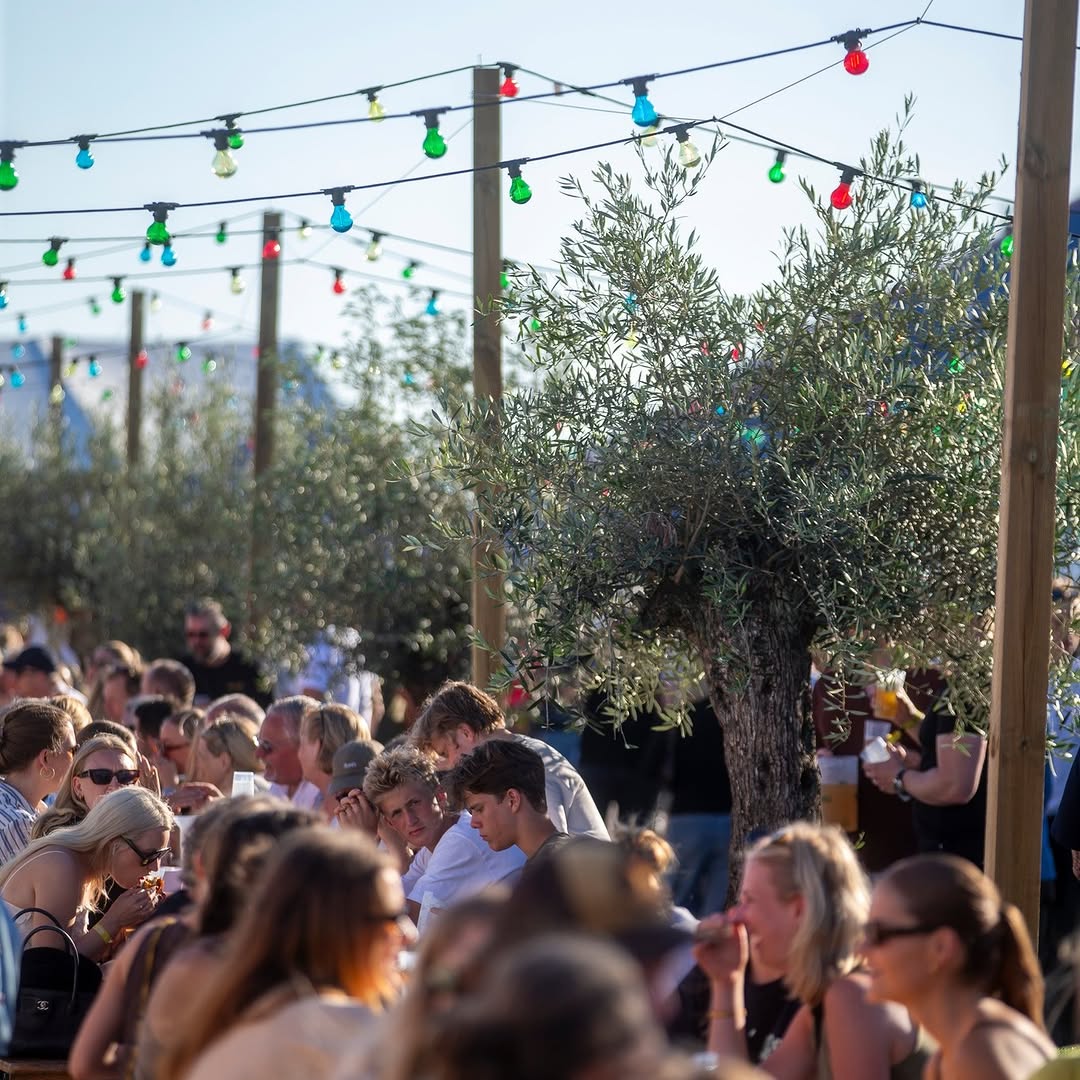 Oliventræer til festival