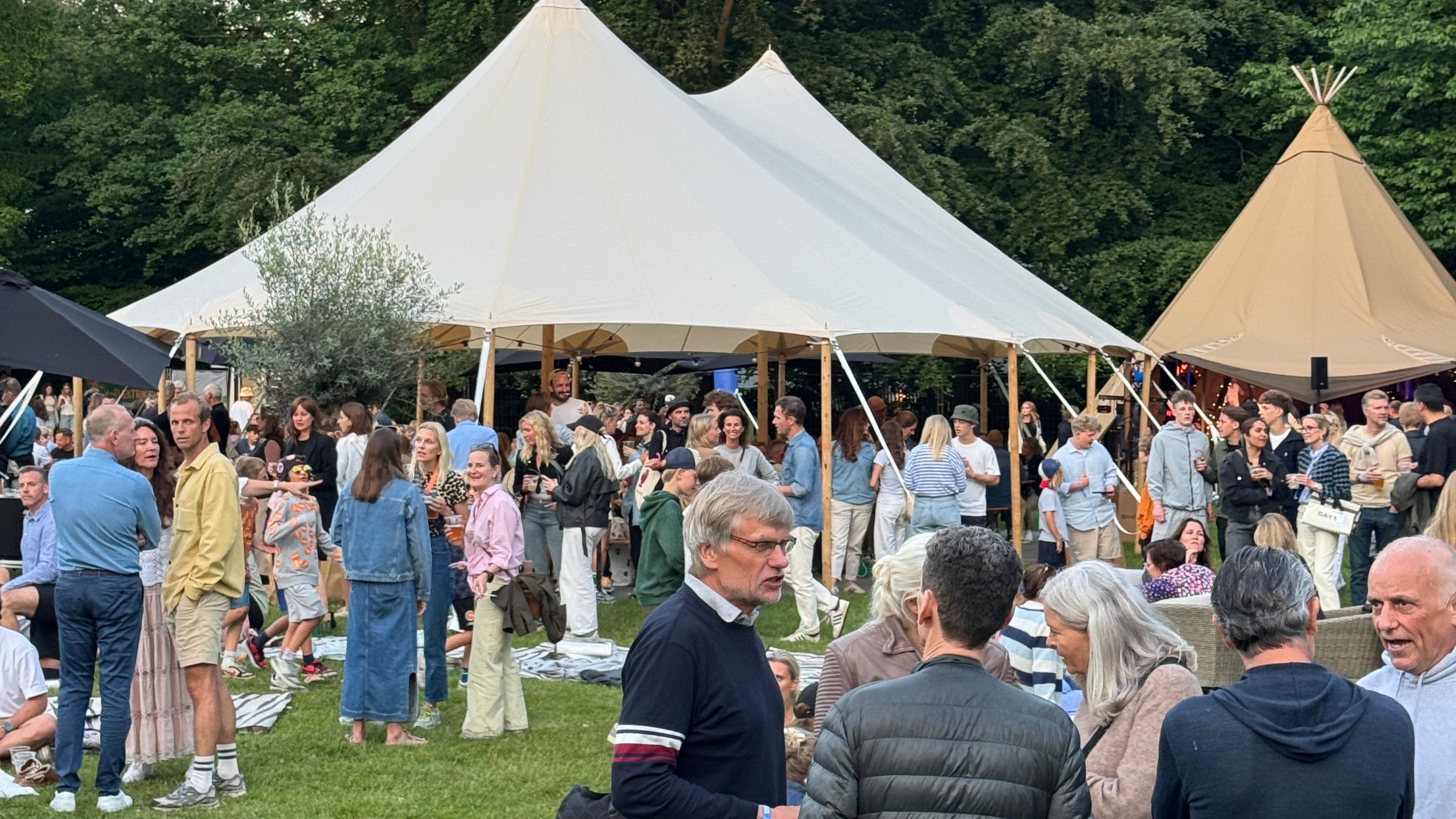 Festival med mange mennesker, et oliventræ i baggrunden